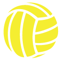 Rebound Volleyball